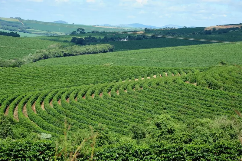 Minas Gerais dá passo crucial para agilizar licenciamento ambiental no agronegócio