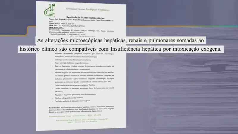 Ministério da Agricultura investiga morte de 34 cavalos após consumo de ração contaminada em Jarinu