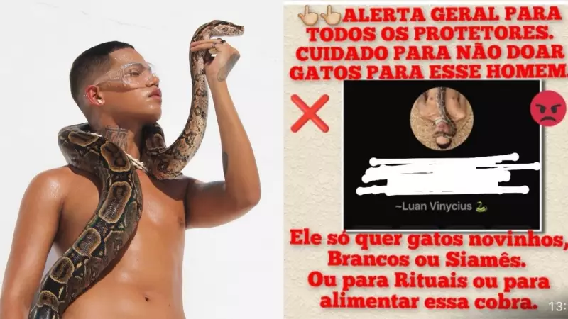 Modelo desmente fake news sobre adoção de gatos para alimentar cobra em ensaio fotográfico