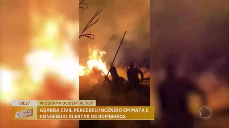 Monitoramento em tempo real é crucial para conter incêndios no Distrito Federal