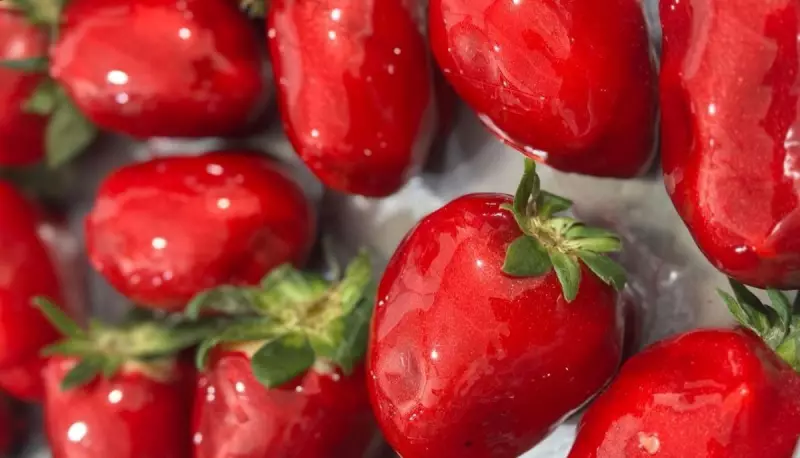 Morango do Amor: Doce Fenômeno em Divinópolis Supera Vendas de Páscoa e Conquista Corações