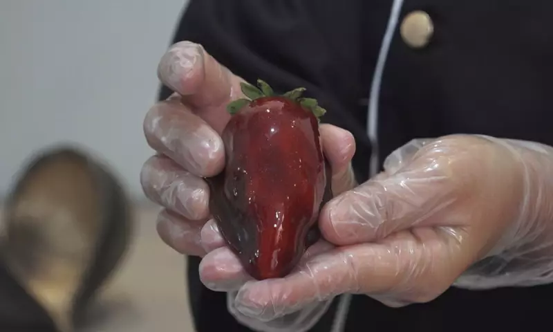 Morango do Amor: Doce Sensação Toma Conta das Confeitarias na Bahia e Vira Febre