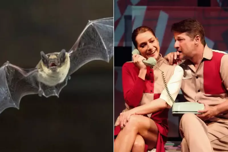 Morcegos invadem peça de teatro com Marcelo Serrado e Letícia Spiller — ator reage com bom humor