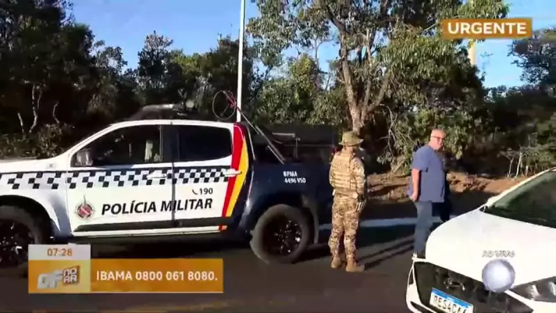 Motorista foge após atropelar e matar 14 capivaras no Lago Sul, em Brasília