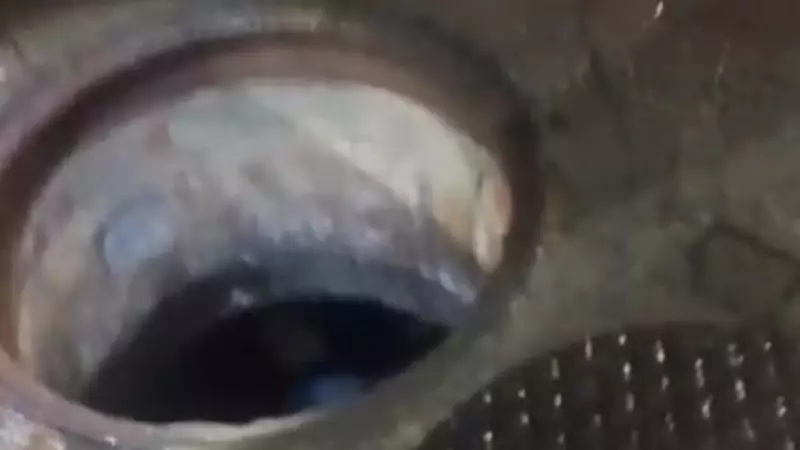 Mulher cai em bueiro no Andaraí, Zona Norte do Rio: veja o vídeo chocante