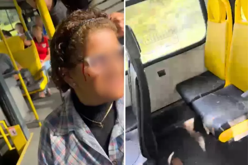 Mulher é atingida por azulejo durante ataque a ônibus no litoral de SP; veja o vídeo chocante