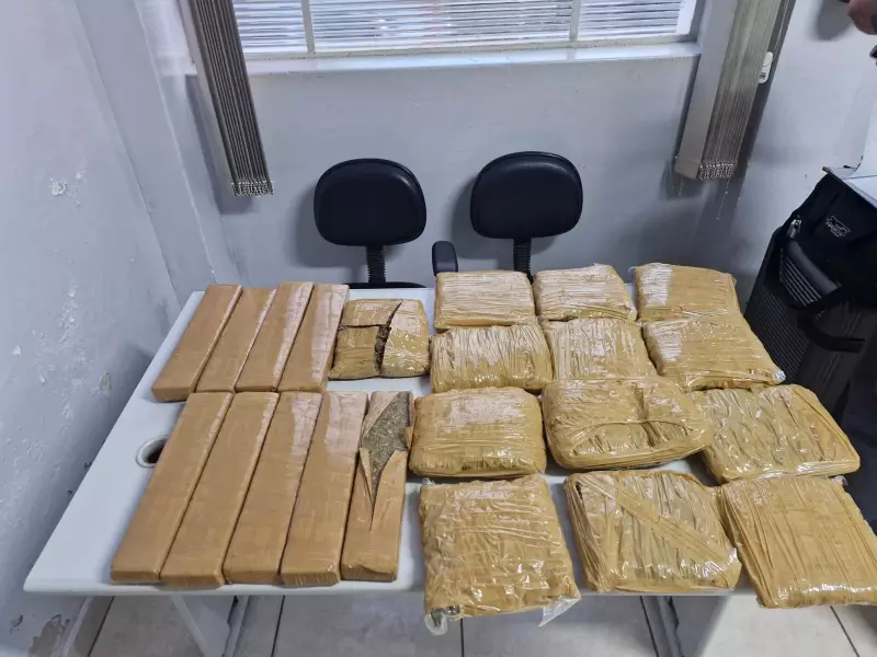 Mulher é flagrada transportando maconha em ônibus interestadual em Presidente Prudente