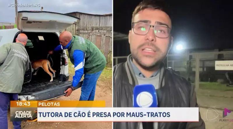Mulher é presa em flagrante por maus-tratos a cão em Pelotas — Veja os detalhes