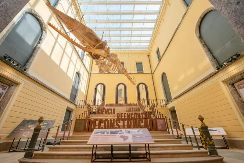 Museu Nacional do Rio reabre parcialmente após 7 anos do incêndio devastador