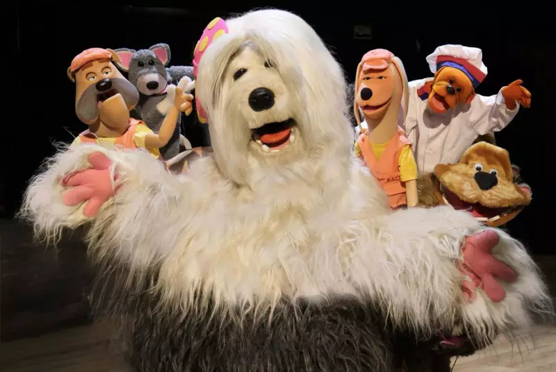 Musical TV Colosso chega a Manaus com espetáculo imperdível em julho