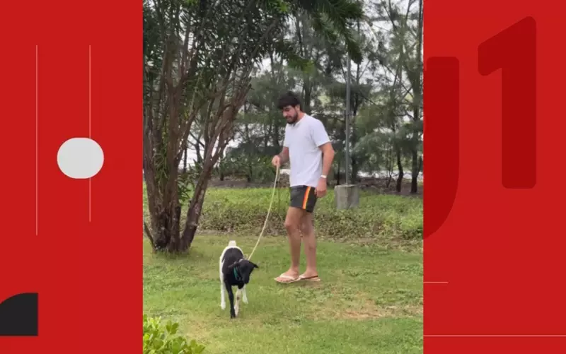 Nattan revela sua rotina inusitada com um bode de estimação na Bahia