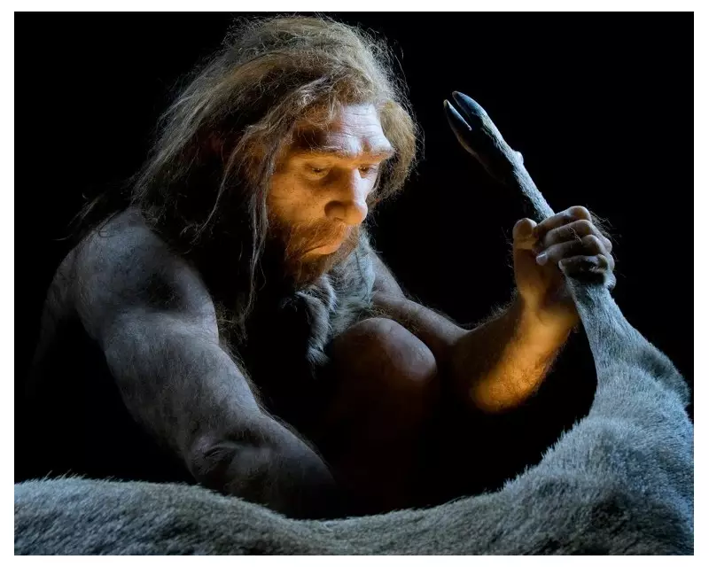 Neandertais já extraíam gordura de ossos 100 mil anos antes dos humanos modernos, revela estudo