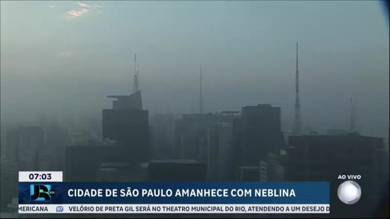 Neblina toma conta de São Paulo e clima seco exige cuidados extras nesta terça (22)