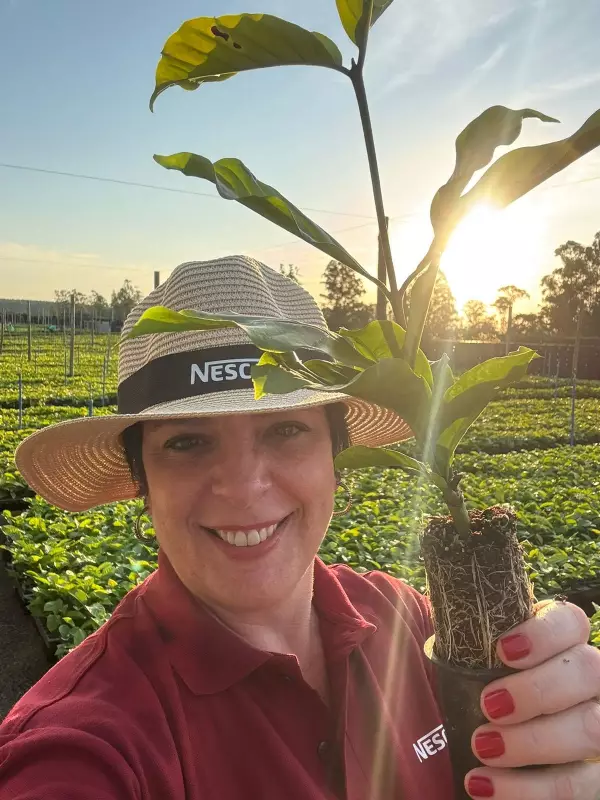 Nescafé vai além da xícara: como a marca transforma histórias em propósito