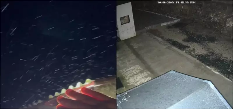 Neve em Santa Catarina: Confira os registros da primeira queda de neve do inverno 2025!