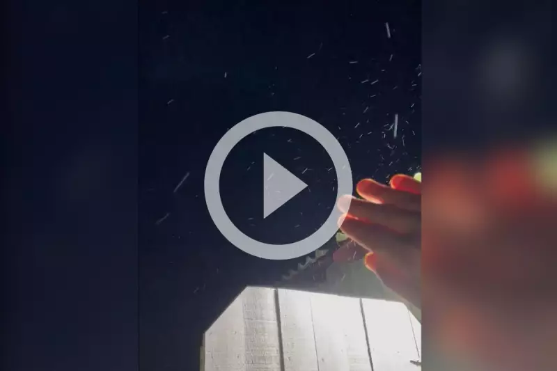 Neve em SC: Três cidades amanhecem sob frio intenso no início de julho