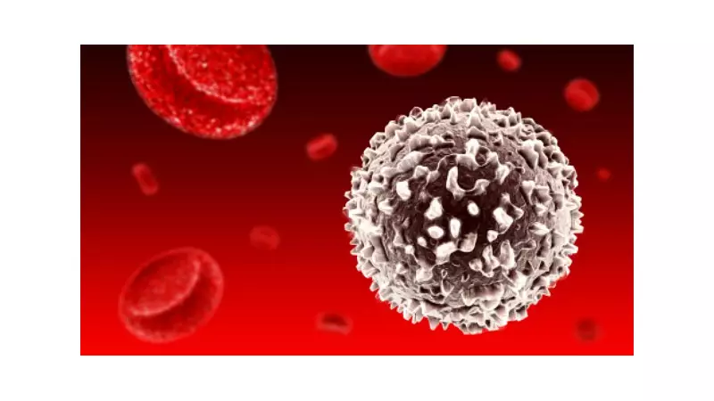 Nova estratégia contra o câncer: degradação de proteínas pode revolucionar tratamentos