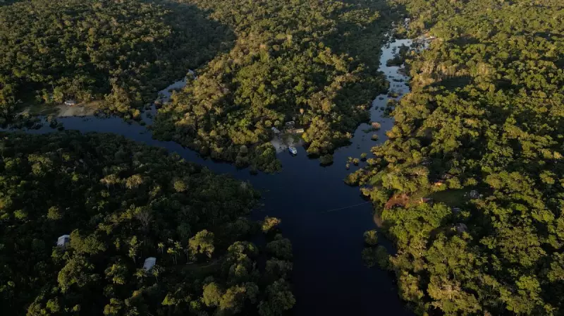 Nova Lei Ambiental no Brasil: O Que Muda e Como Isso Afeta Você