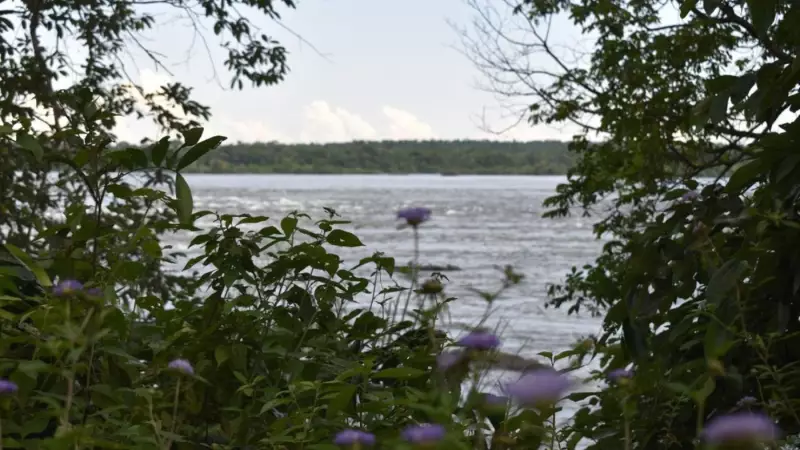Novidades nas Cataratas do Iguaçu: Trilhas e Ciclovia para Aventuras Inesquecíveis