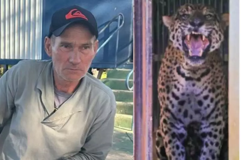 Onça-pintada capturada no Pantanal é ligada à morte de caseiro através de ossos e fios de cabelo