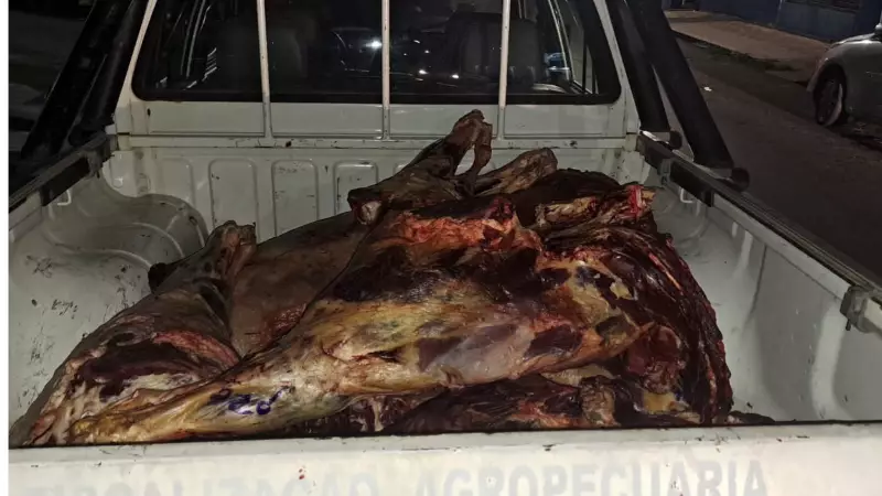 Operação apreende mais de 200 kg de carne bovina clandestina em Teresina — risco à saúde pública