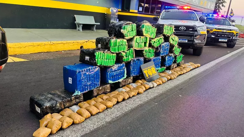 Operação apreende mais de meia tonelada de drogas em carro roubado em Álvares Machado