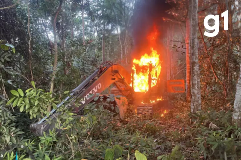 Operação combate garimpo ilegal em terra indígena de Mato Grosso: entenda os detalhes