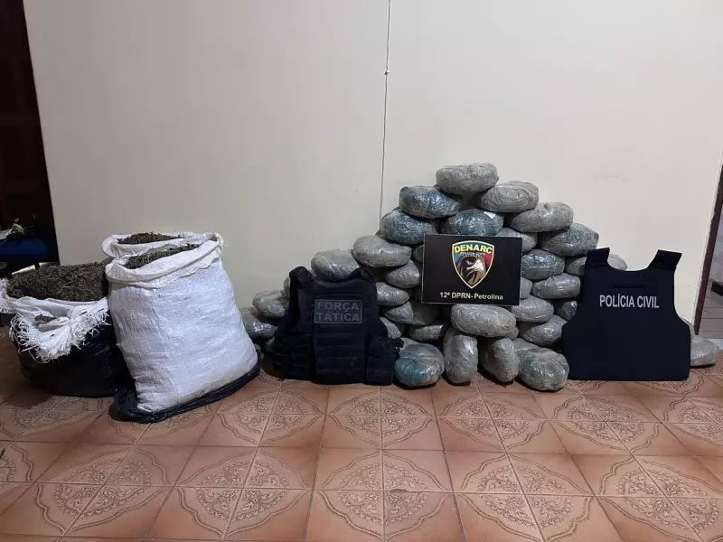 Operação conjunta prende 4 suspeitos e apreende 83 kg de maconha na fronteira de PE e PI