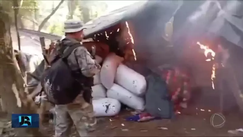 Operação contra o narcotráfico destrói mais de mil toneladas de maconha no Brasil
