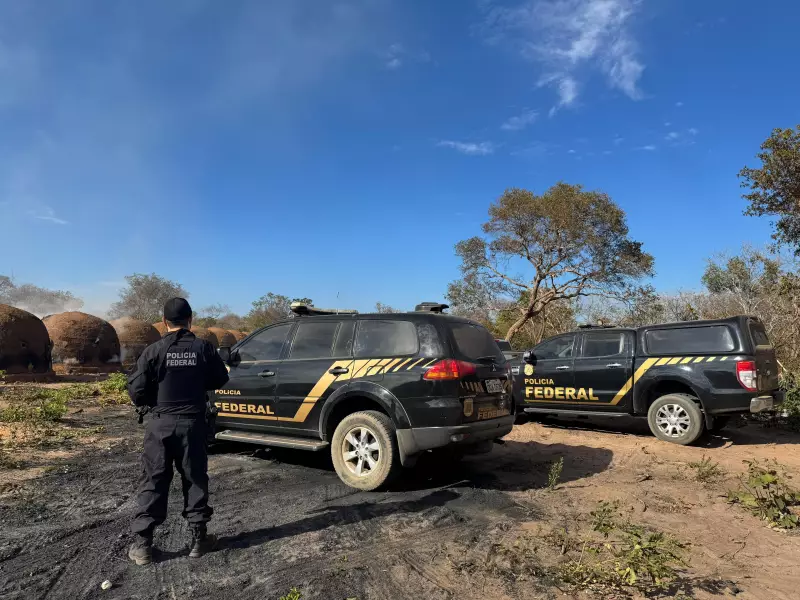 Operação da PF resgata trabalhadores em carvoarias ilegais em Ubá: condições eram 'de cortar o coração'