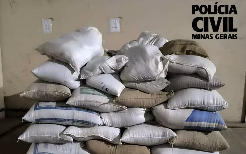 Operação da Polícia Civil apreende sacas de café avaliadas em mais de R$ 130 mil no Sul de Minas