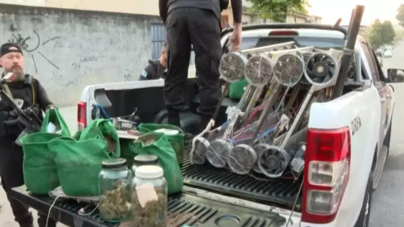 Operação da Polícia Civil desmantela estufa de maconha em comunidade do RJ — veja detalhes