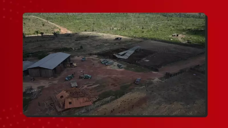 Operação do Ibama no Amazonas resulta em R$ 1,73 milhão em multas por crimes ambientais