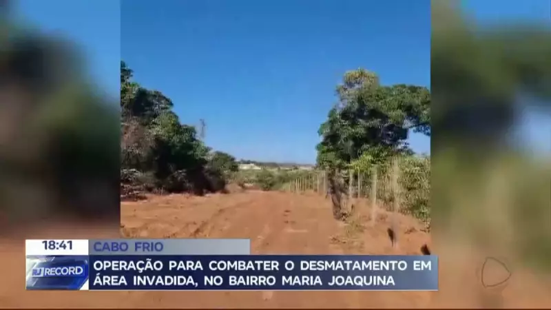 Operação em Cabo Frio combate desmatamento e grilagem de terras: veja detalhes