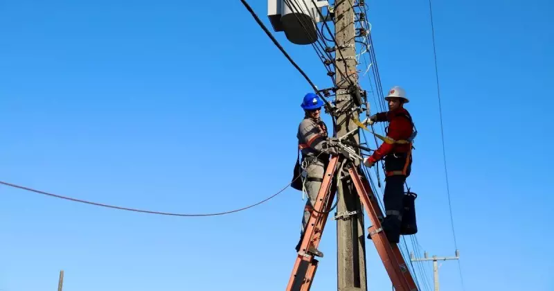 Operação Limpa Fios retira 800 kg de fiação irregular em Criciúma | Confira os detalhes