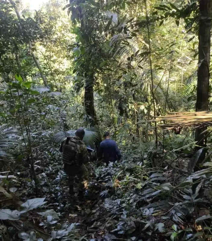 Operação no Parque do Cunhambebe: Homem é preso por tráfico de drogas em Angra dos Reis