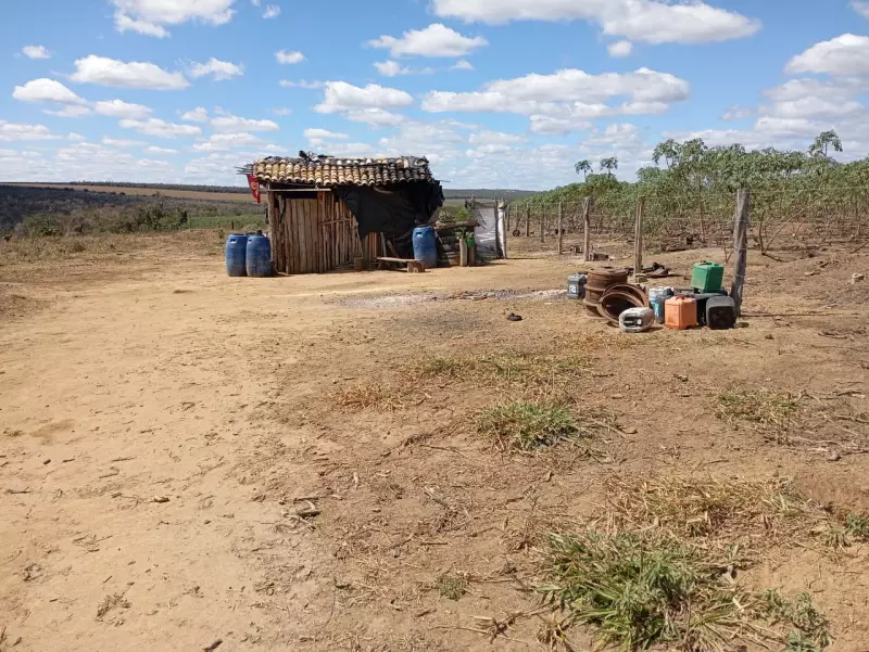 Operação policial em carvoaria de Ninheira revela armas e condições de trabalho chocantes