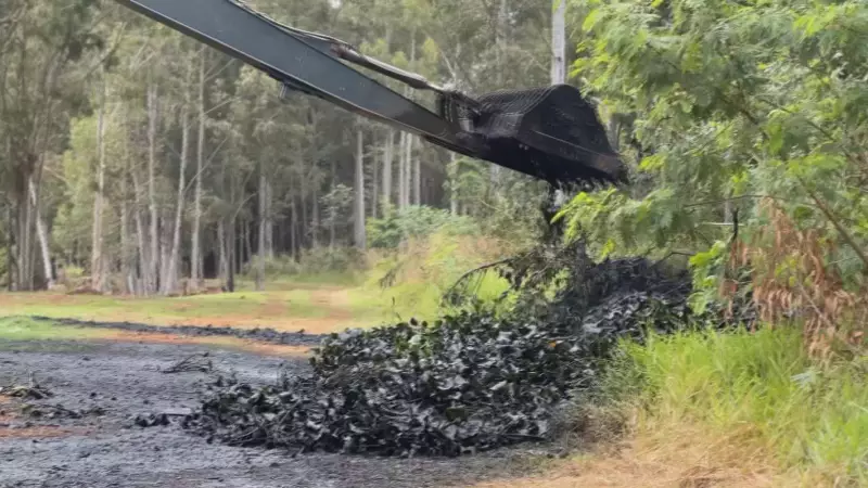 Ourinhos inicia limpeza de segunda lagoa de estabilização tomada por algas