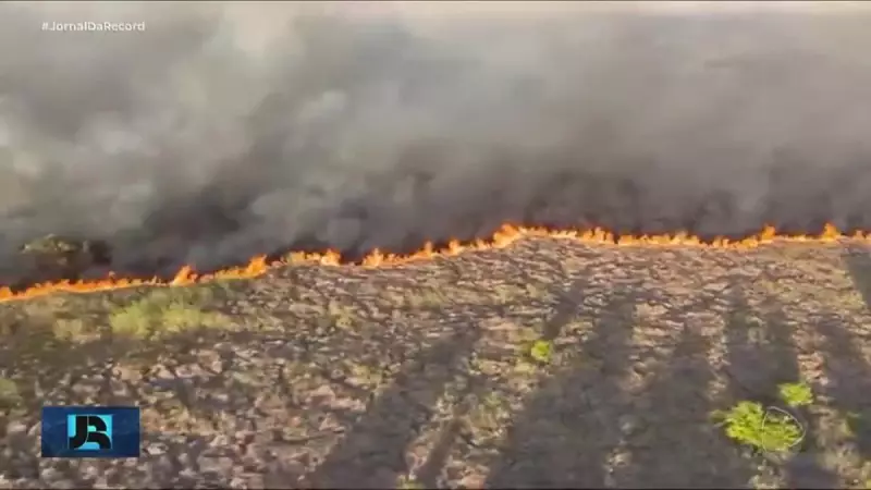 Pantanal em chamas? Dados do INPE revelam queda drástica de incêndios — veja os números!
