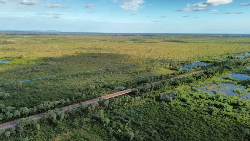 Pantanal em chamas: incêndios caem 92% no primeiro semestre de 2025, revela estudo