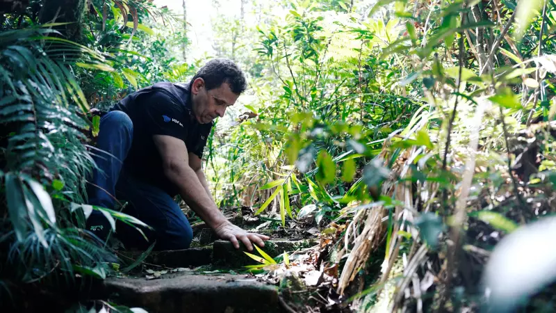 Peabiru: A Trilha Ancestral que Revela os Segredos da História do Brasil