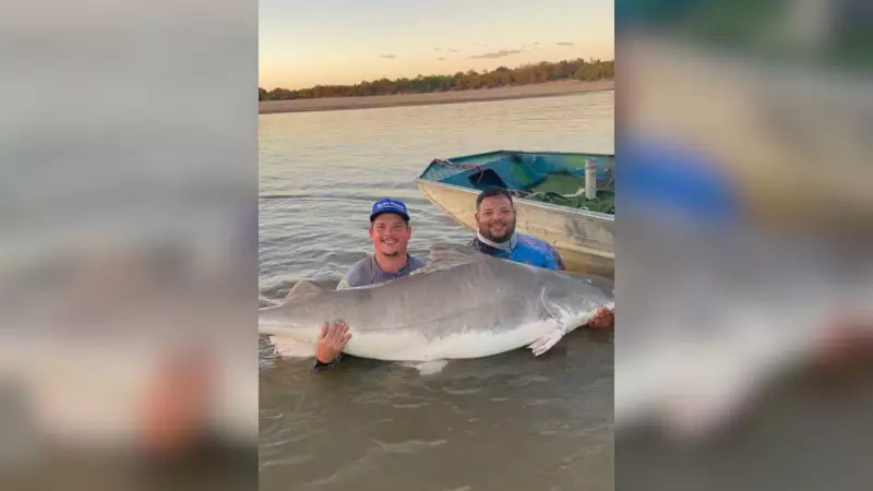 Pescador encara batalha épica e fisga piraíba gigante de 2 metros no Rio Araguaia