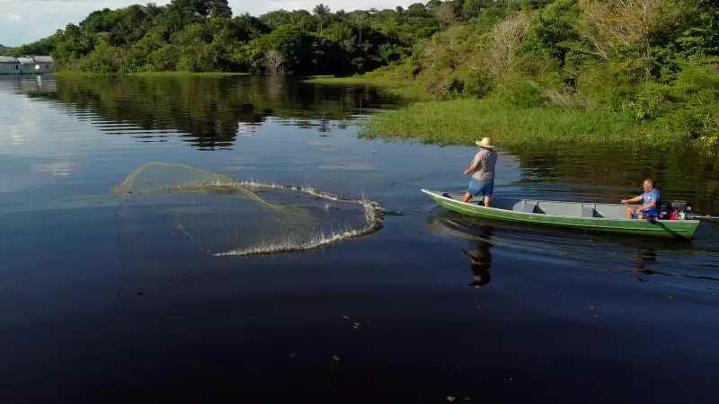 Pescadores enfrentam escassez de peixes no Rio Negro, mesmo com cheia histórica em Manaus