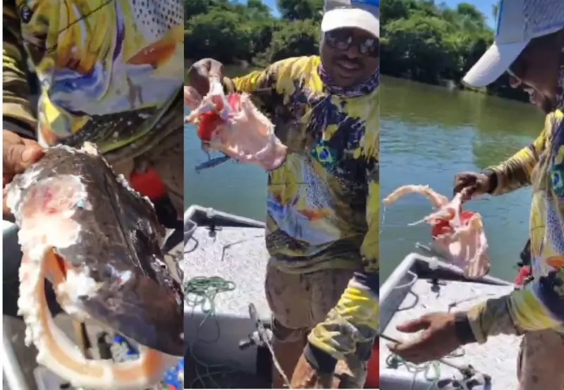 Pescadores se assustam ao fisgar apenas carcaça de peixe no Rio Tocantins — ataque de piranhas?
