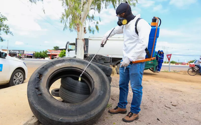 Petrolina está livre do risco de infestação do Aedes aegypti, revela último LIRAa