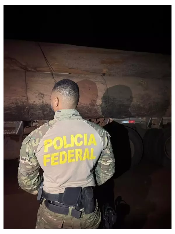 PF prende dupla por transporte ilegal de madeira em Rondônia — crime ambiental rende prisão