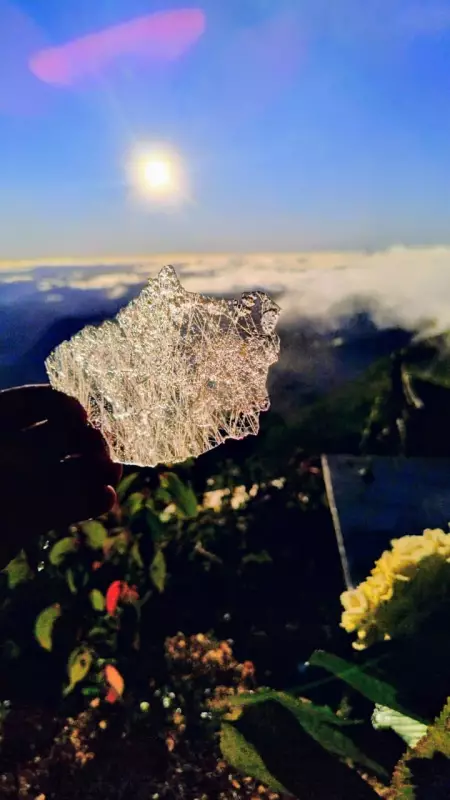 Pico do Caledônia em Nova Friburgo amanhece coberto de gelo: fenômeno raro encanta moradores e turistas