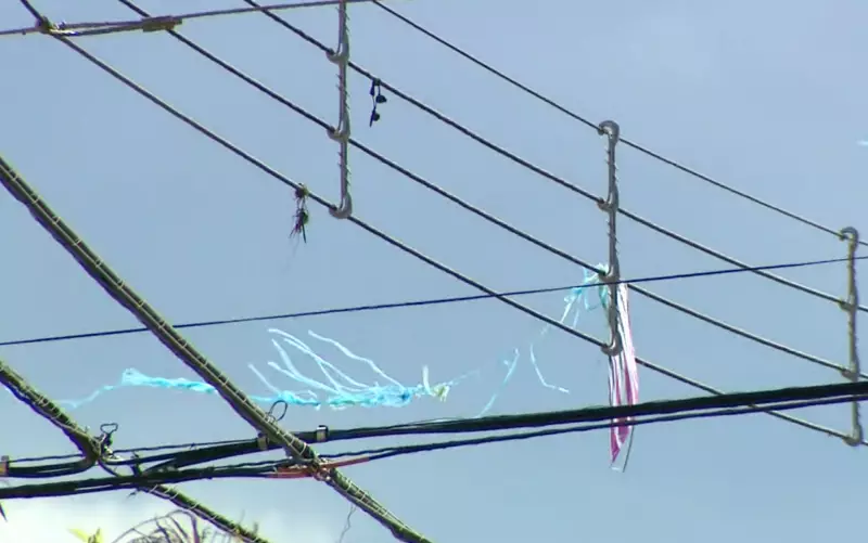 Pipas causam apagões no Vale do Paraíba: quase 30 mil ficam sem energia no 1º semestre de 2025