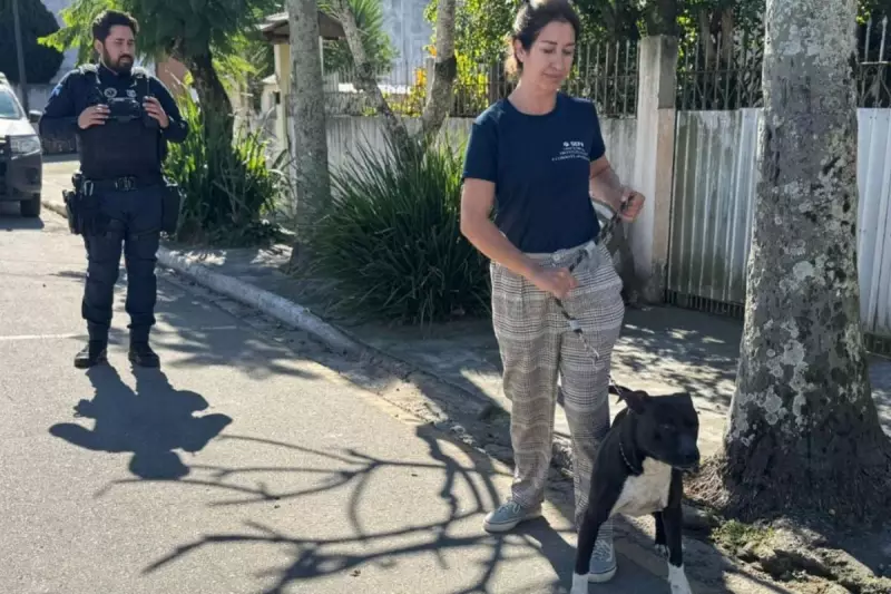Pitbull abandonado em casa vazia é resgatado após duas semanas em SC — Veja o vídeo emocionante!