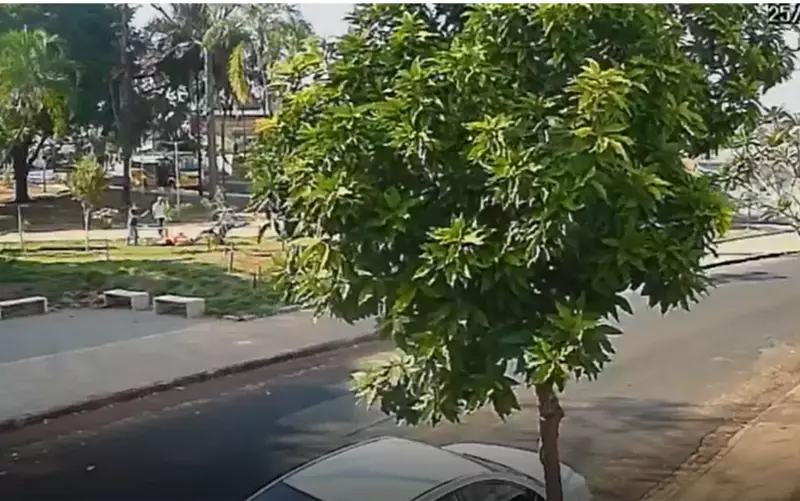Pitbull feroz ataca cadela e dona em praça de Ribeirão Preto — Veja o vídeo chocante!